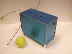 Proto Model